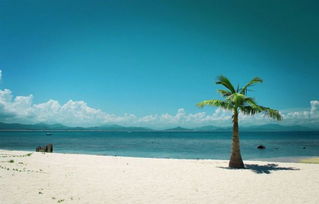 海南 新型旅游產品重環保 旅行社發展謀升級